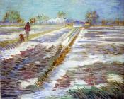 文森特 威廉 梵高 : 雪景